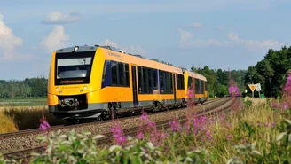 Gelb-blauer Regionalzug der Länderbahn fährt auf einer eingleisigen Strecke durch grüne Landschaft mit blühenden Wildblumen im Vordergrund.