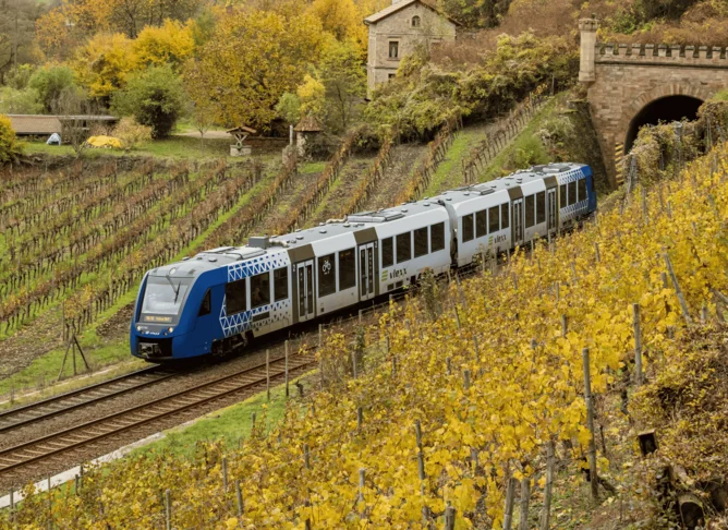 Moderner blauer Regionalzug fährt durch herbstliche Weinberge in malerischer Landschaft nahe einem Tunnel