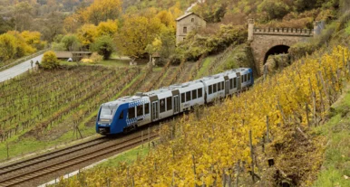 Moderner blauer Regionalzug fährt durch herbstliche Weinberge in malerischer Landschaft nahe einem Tunnel