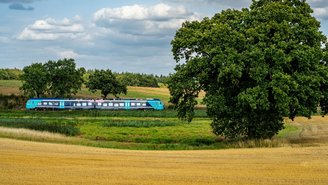 Blau-türkiser Regionalzug fährt durch eine grüne Landschaft mit großen Bäumen und goldgelben Feldern unter leicht bewölktem Himmel.